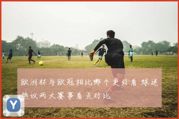 欧洲杯与欧冠相比哪个更好看 球迷热议两大赛事看点对比
