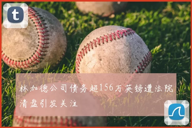 林加德公司债务超156万英镑遭法院清盘引发关注