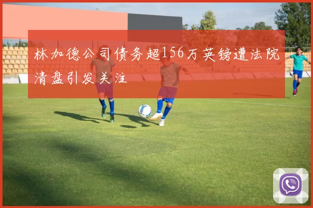 林加德公司债务超156万英镑遭法院清盘引发关注