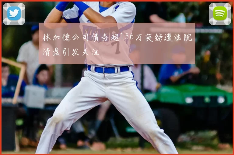 林加德公司债务超156万英镑遭法院清盘引发关注