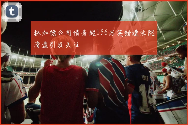 林加德公司债务超156万英镑遭法院清盘引发关注