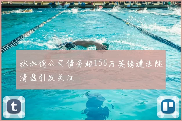 林加德公司债务超156万英镑遭法院清盘引发关注