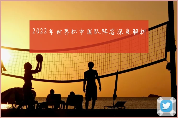 2022年世界杯中国队阵容深度解析
