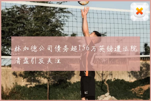 林加德公司债务超156万英镑遭法院清盘引发关注
