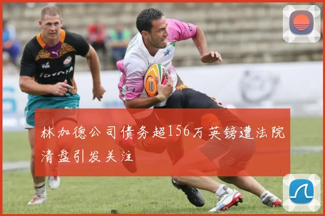 林加德公司债务超156万英镑遭法院清盘引发关注