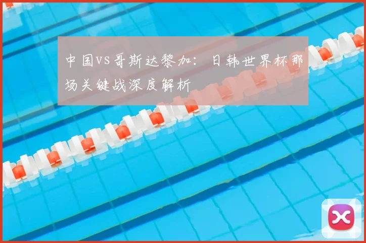 中国vs哥斯达黎加:日韩世界杯那场关键战深度解析