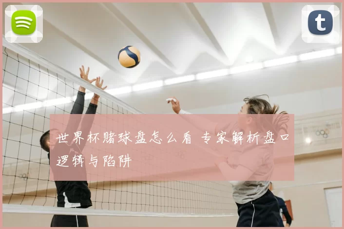 世界杯赌球盘怎么看 专家解析盘口逻辑与陷阱