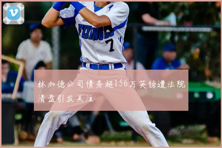 林加德公司债务超156万英镑遭法院清盘引发关注