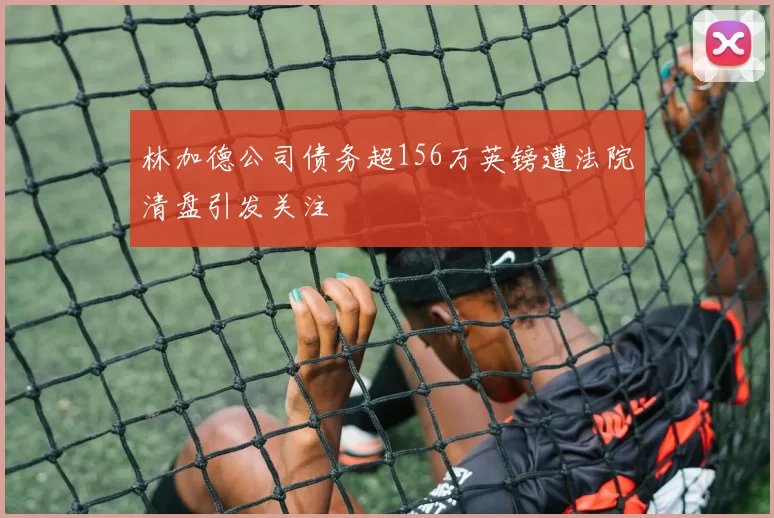 林加德公司债务超156万英镑遭法院清盘引发关注