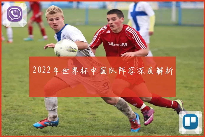2022年世界杯中国队阵容深度解析