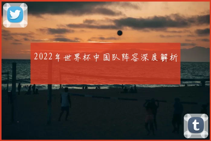 2022年世界杯中国队阵容深度解析