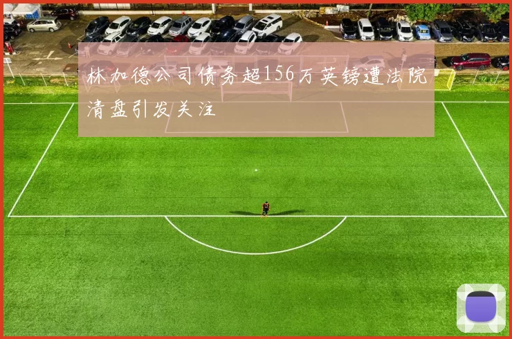 林加德公司债务超156万英镑遭法院清盘引发关注