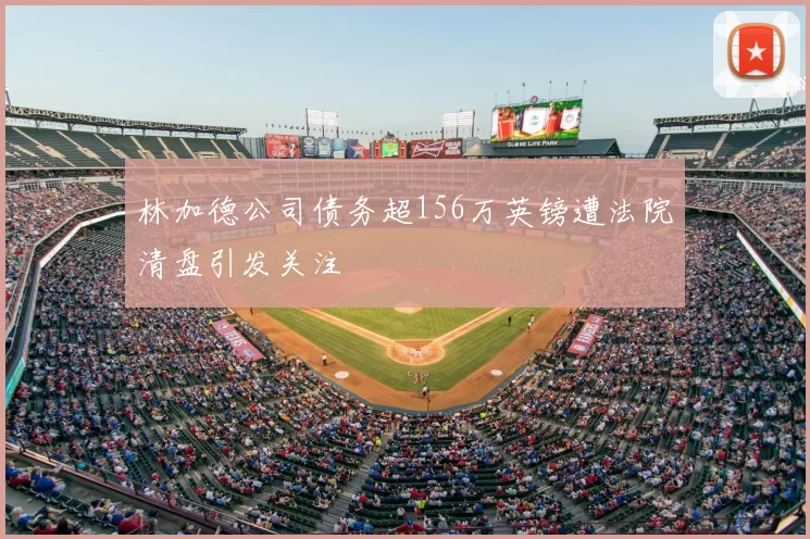 林加德公司债务超156万英镑遭法院清盘引发关注