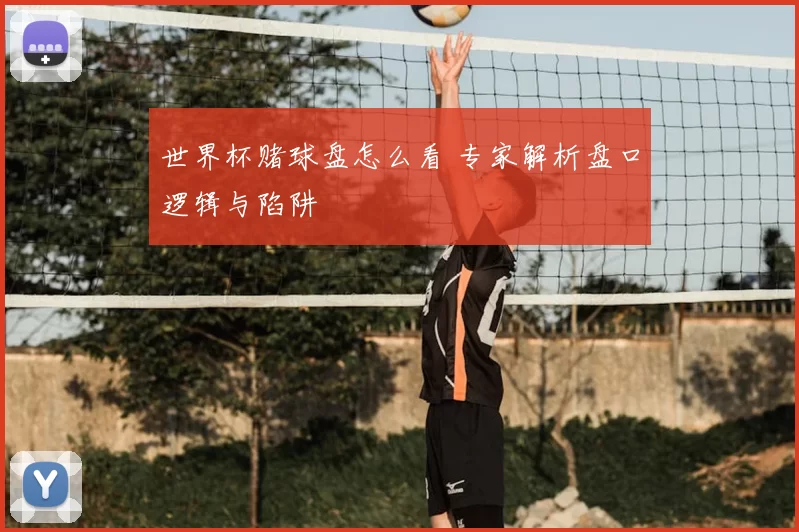 世界杯赌球盘怎么看 专家解析盘口逻辑与陷阱