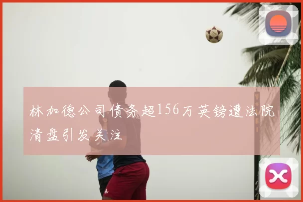 林加德公司债务超156万英镑遭法院清盘引发关注