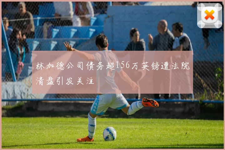 林加德公司债务超156万英镑遭法院清盘引发关注