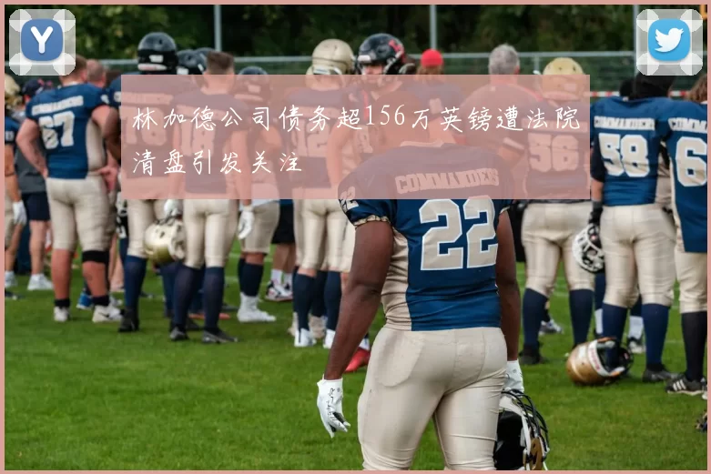 林加德公司债务超156万英镑遭法院清盘引发关注