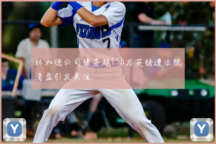 林加德公司债务超156万英镑遭法院清盘引发关注