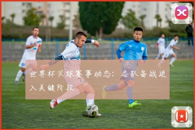 世界杯买球赛事动态：各队备战进入关键阶段