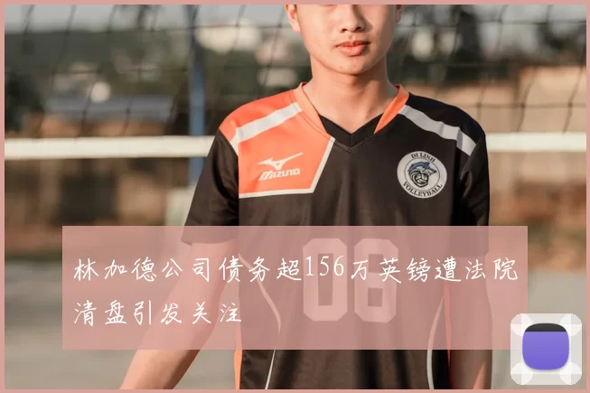 林加德公司债务超156万英镑遭法院清盘引发关注